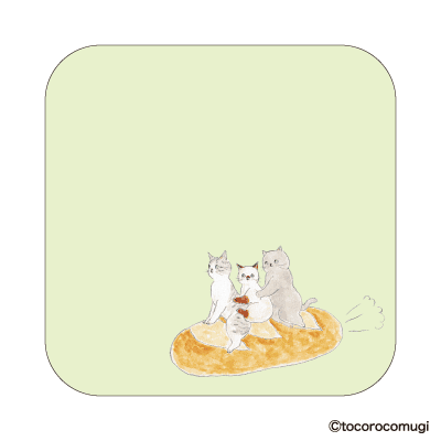 しっかり貼れるピタふせん M（メモタイプ）／トコロコムギ 出発進行！バゲットにゃんこの画像02