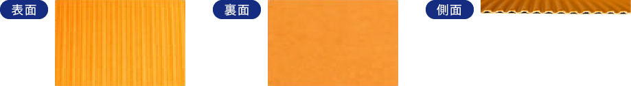 表面・裏面・横の参考画像